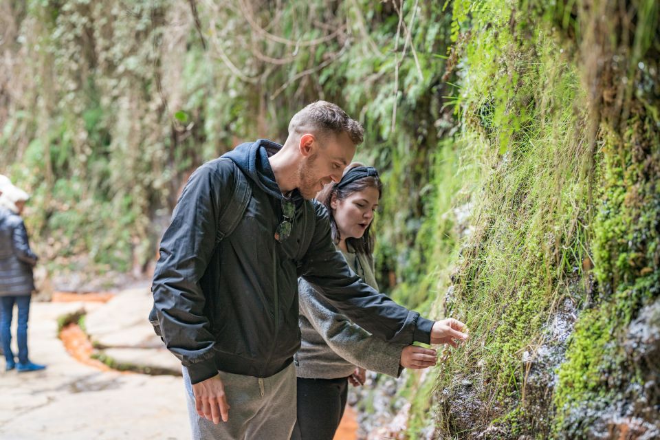 From Granada: Alpujarra Villages Guided Day Tour - Transportation and Pickup