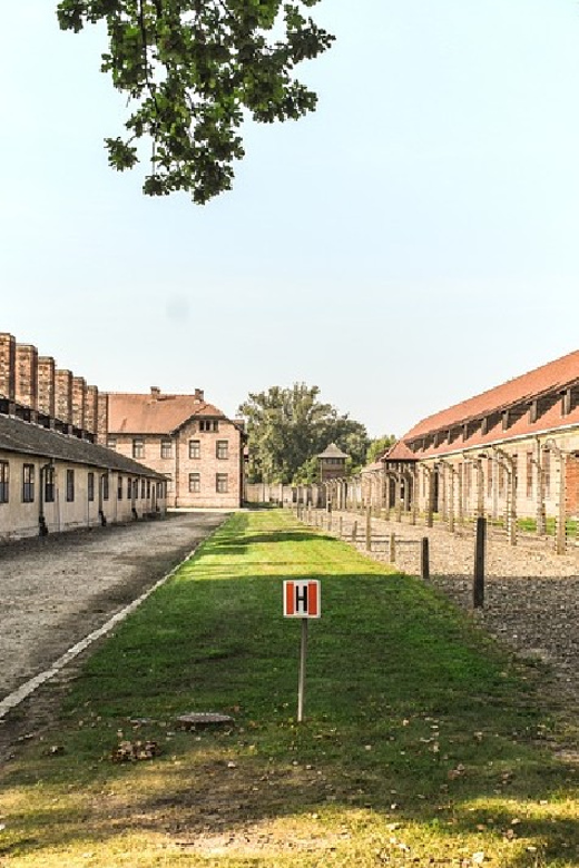 From Krakow: Wieliczka Salt Mine & Auschwitz Guided Trip - Important Restrictions