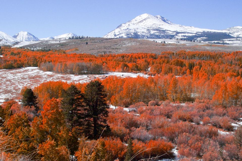 From Lake Tahoe: Yosemite National Park Day Trip With Lunch - Hiking Opportunities