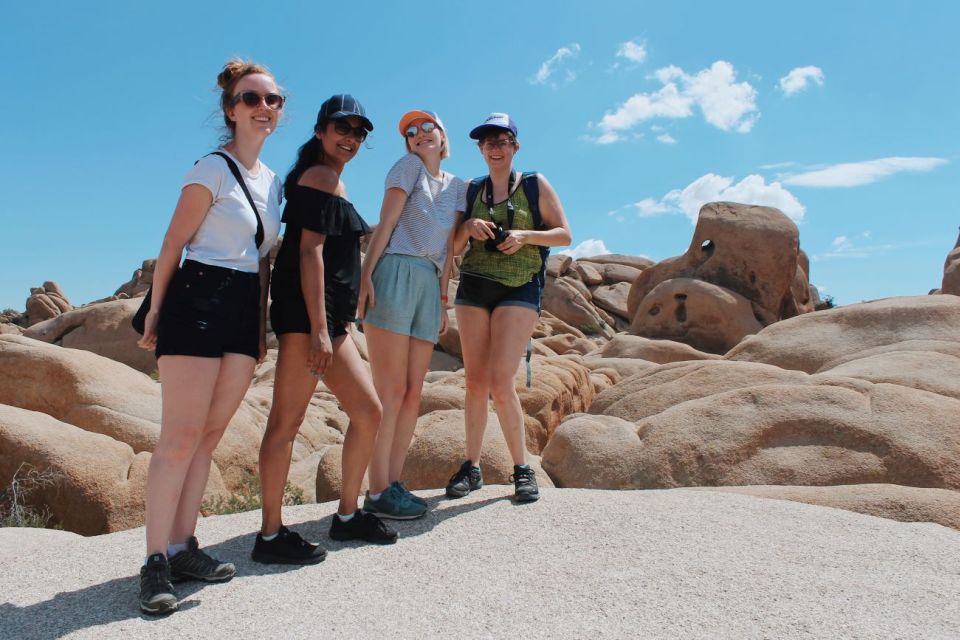 From Las Vegas: 4-Day Hiking and Camping in Joshua Tree - Accommodation and Meals