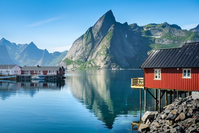 From Leknes Port: Special Summer Guided Tour of Lofoten - Tour Schedule and Availability