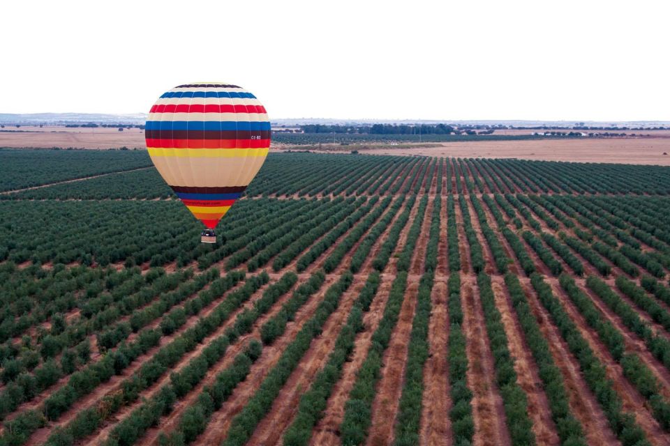 From Lisbon: The Best of Alentejo Day Trip All Inclusive - Wine Tasting and Alentejo Lunch