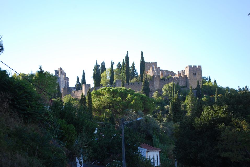 From Lisbon: Tomar and Almourol Castles Day Trip - Templar Churches and Synagogue