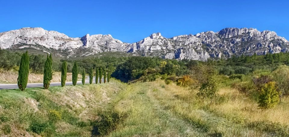 From Marseille: Full-Day Les Baux De Provence Wine Tour - Important Information