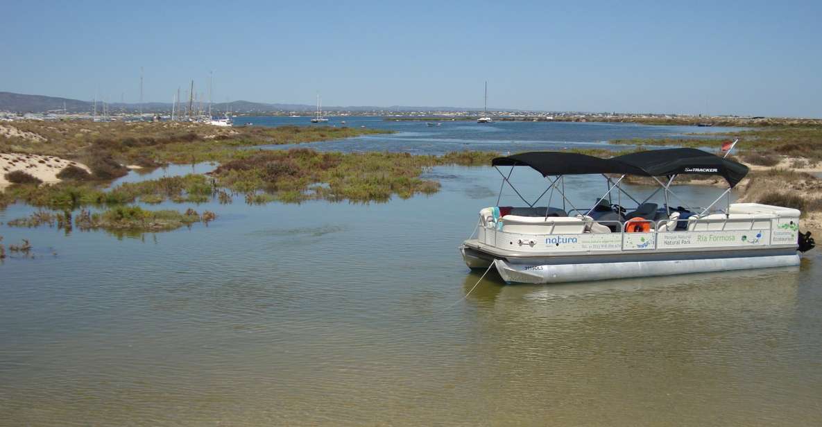 From Olhão: Ria Formosa & Culatra Island 3.5-Hour Boat Trip - Customer Feedback