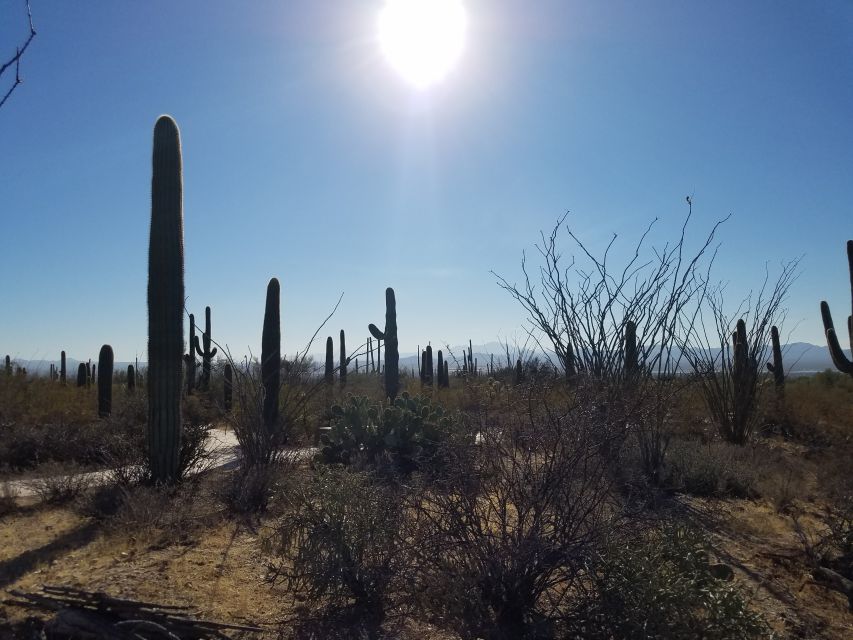 From Phoenix: Tombstone and Bisbee Day Tour - Explore Tombstone