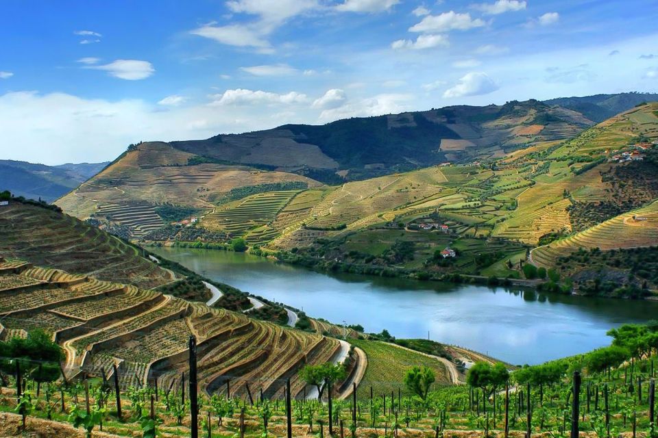 From Porto: Pinhão and Douro Valley Scenic Boat Tour - Countryside Wine Estate Visit