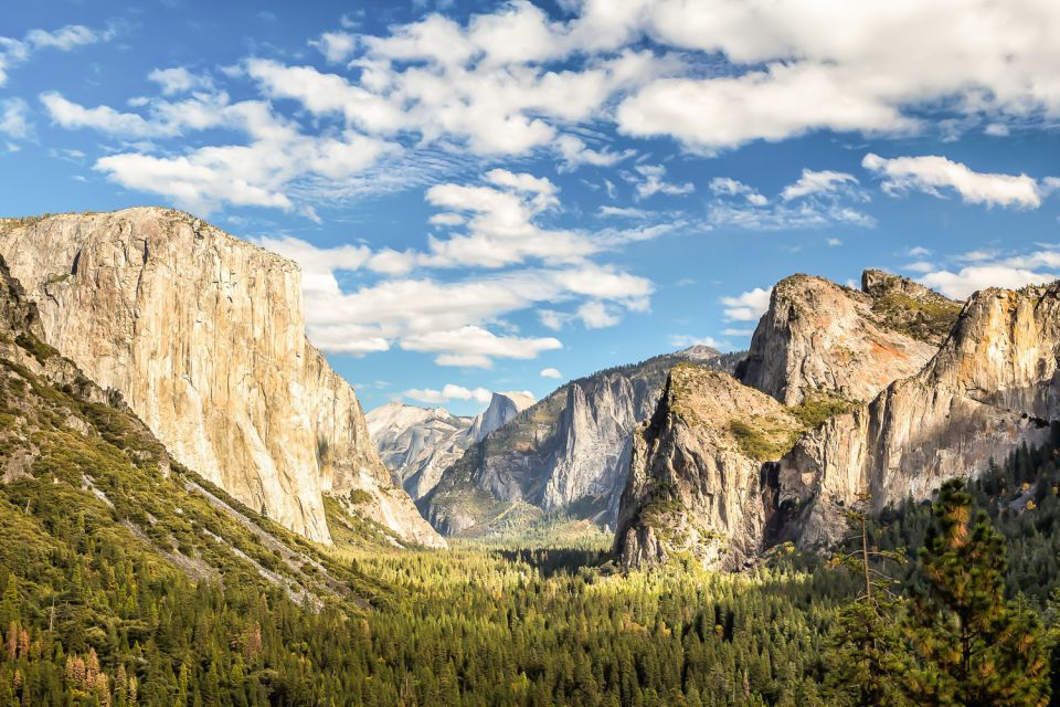 From San Francisco: Yosemite Private Full-Day Trip - Yosemite Falls and El Capitan