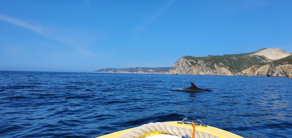 From Sesimbra: Ribeira Do Cavalo Beach and Caves Boat Tour - Important Information