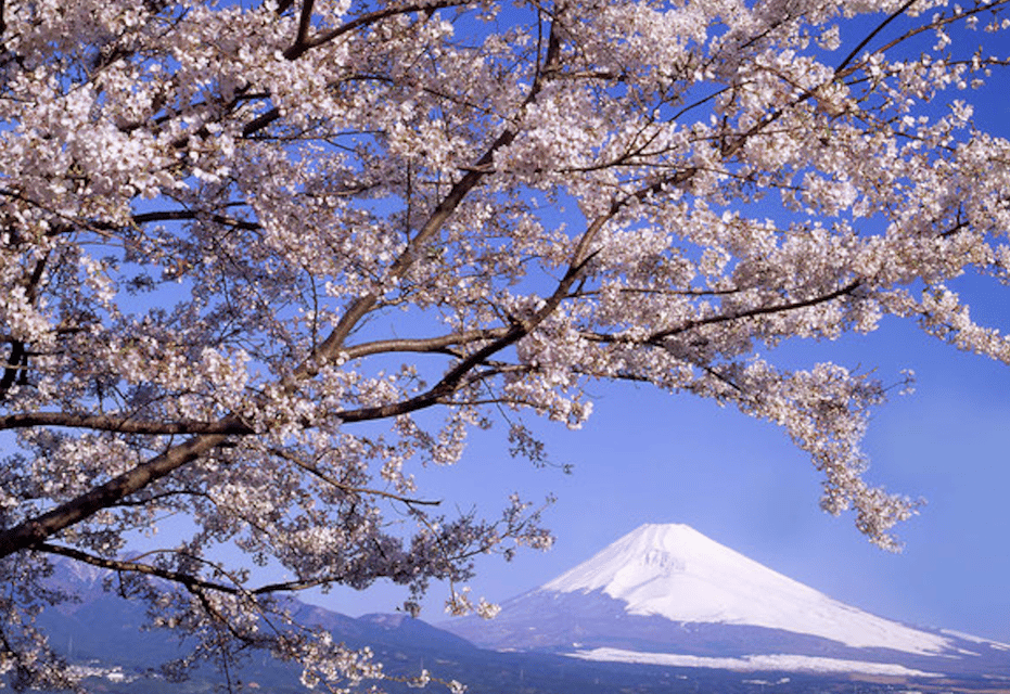 From Tokyo Custom Mt.Fuji Tour With the Private Van - Inclusions