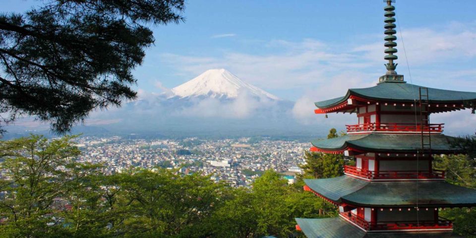 From Tokyo/Hakone/Fuji: Hakone & Mt. Fuji Day Trip W/Pickup - Sightseeing and Activities