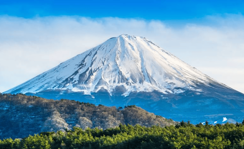 From Tokyo: Mount Fuji Full-Day Private Customized Tour - Booking Information