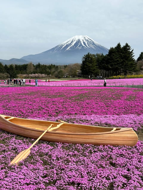 From Tokyo: Mt. Fuji Private Car Day Trip With Guide - Inclusions and Exclusions