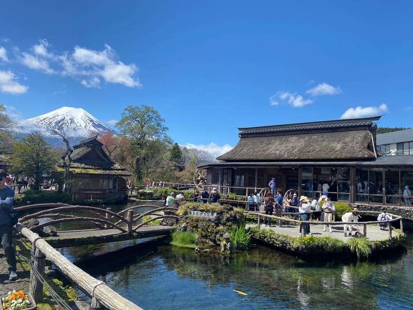 From Tokyo: Mt. Fuji Private Guided Day Tour English Guide - Customer Feedback