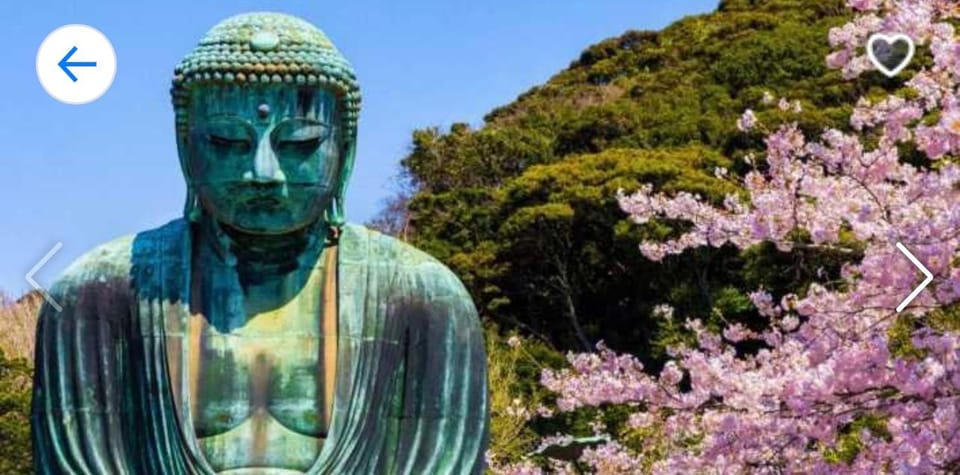 From Tokyo:Kamakura Full Private Customize Tour by Luxuryvan - Participant Guidelines