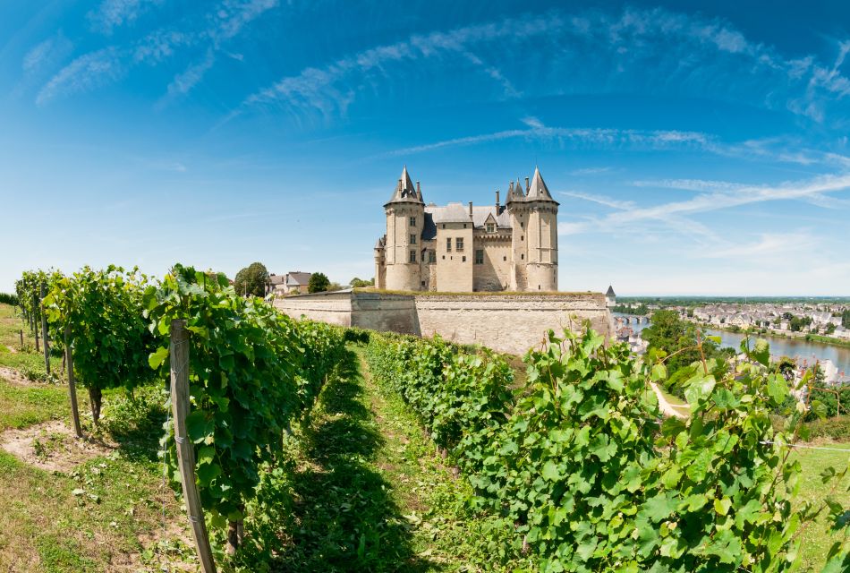 From Tours: Loire Valley Wineries Day Trip With Tastings - Exclusions