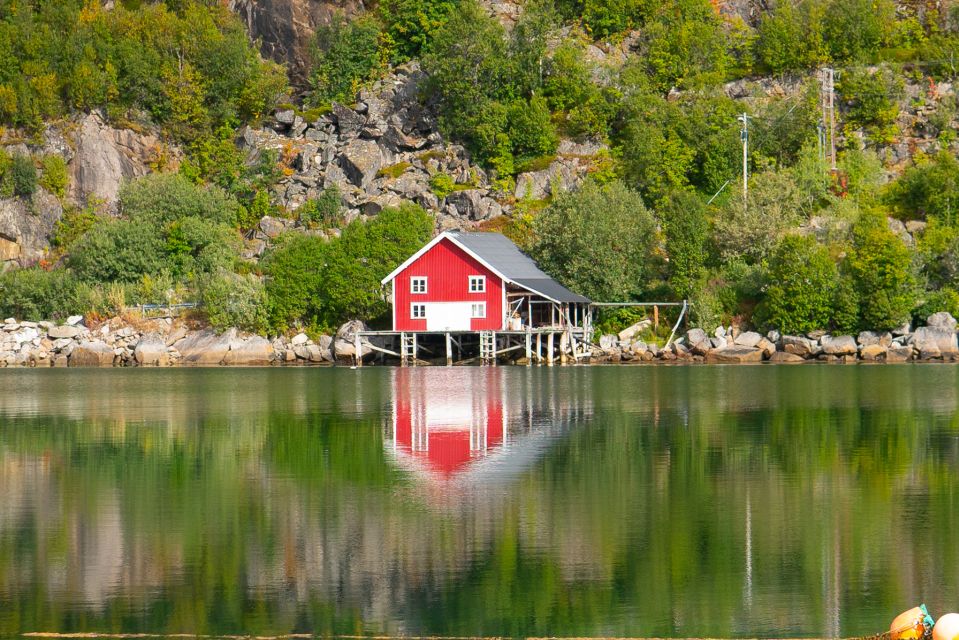 From Tromsø: Kvaløya and Sommarøy Scenic Fjord Day Trip - Wildlife Encounters