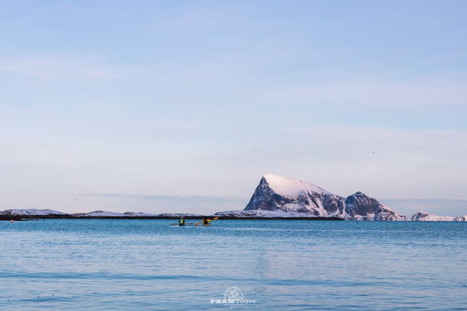 From Tromsø: Senja and Kvaløya Arctic Day Trip With Lunch - Wildlife Spotting