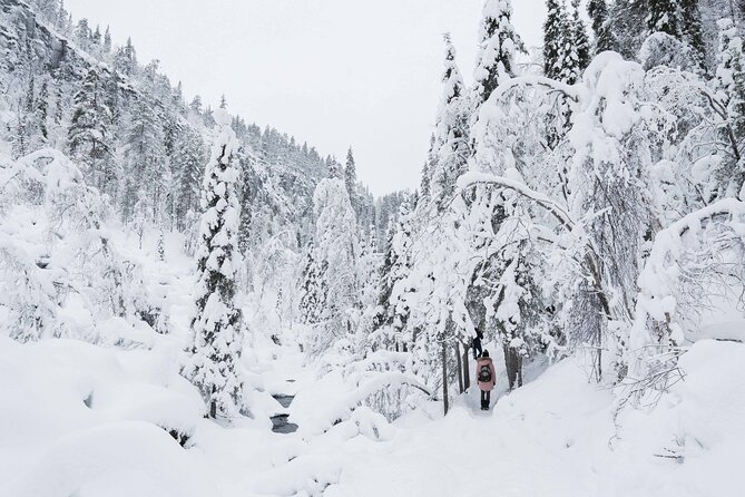 Frozen Waterfalls in Korouoma Canyon Adventure - Booking and Cancellation