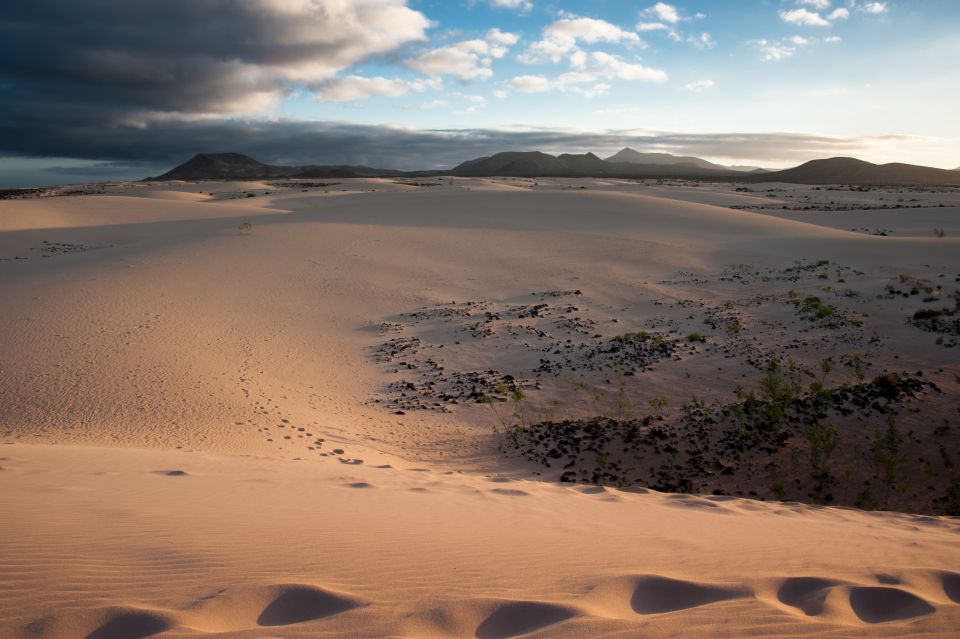 Fuerteventura: Dune Buggy Tour in Northern Fuerteventura - Buggy Options and Specifications