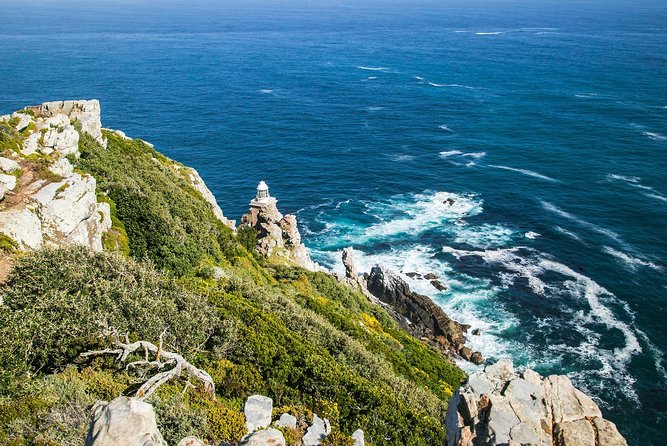 Full-Day Cape Peninsula Tour From Cape Town - Hout Bay Fishing Village