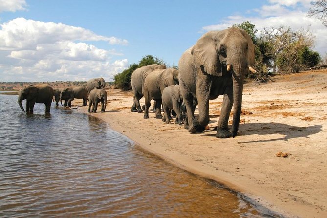 Full Day Chobe National Park Big 5 Safari - Botswana Border Crossing