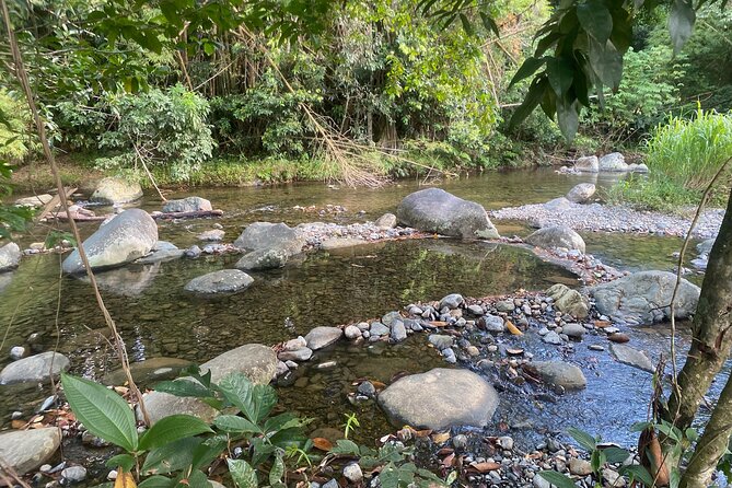 Full-Day El Yunque Rainforest Adventure From Carolina - Preparing for the Tour