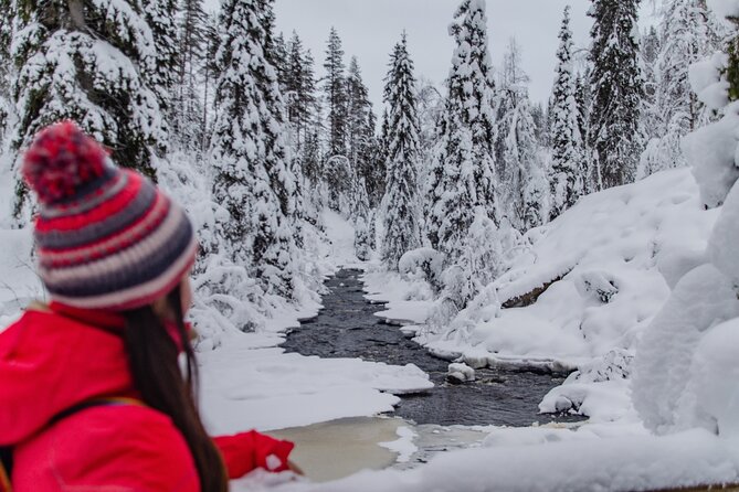 Full Day Hiking in Korouoma Canyon Frozen Waterfalls - Guided Hike and Facts Shared