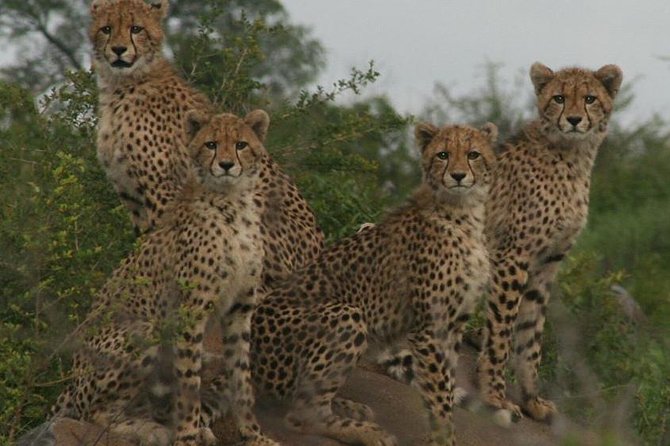 Full-Day Kruger National Park Safari - Excluded Costs