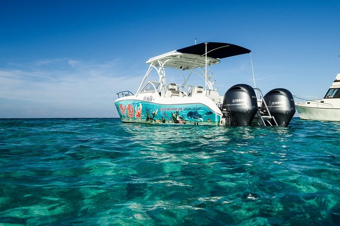 Full Day Stingray City Snorkeling Private Experience for 10 Guest - Private Tour