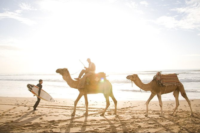 Full-Day Tour to Essaouira - the Ancient Mogador City From Marrakech - Relaxing on Essaouiras Picturesque Beaches