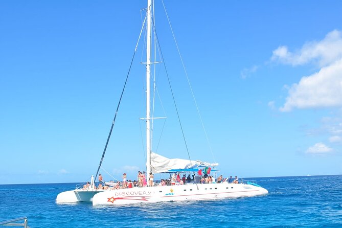 Full Day Tour to Saona Island by Catamaran From Cabeza De Toro - Accessibility