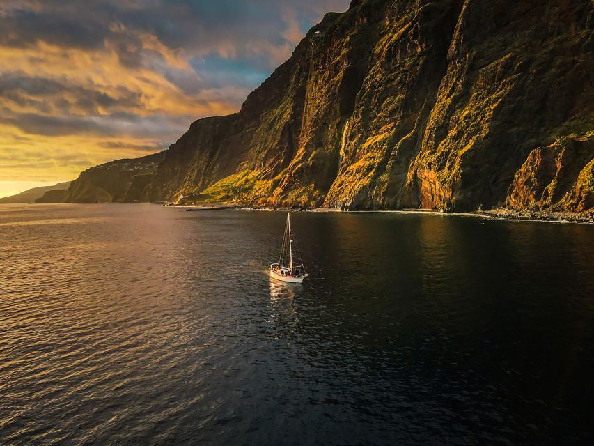 Funchal: Dolphin and Whale Watching Sunset Sailing Tour - Customer Reviews