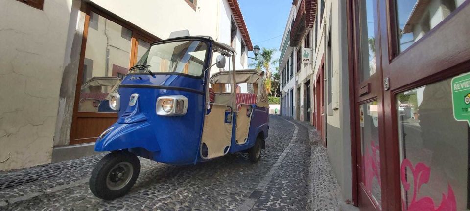 Funchal: Guided City Tuk-Tuk Tour - Customer Reviews and Ratings