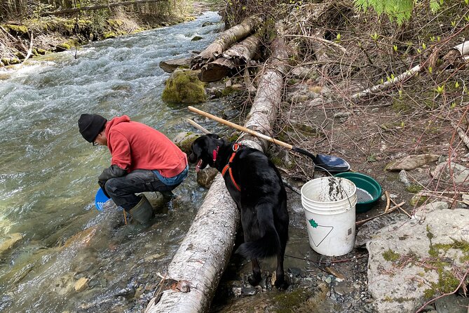 Gold Panning Activity at Mission Creek - Cancellation Policy and Refunds