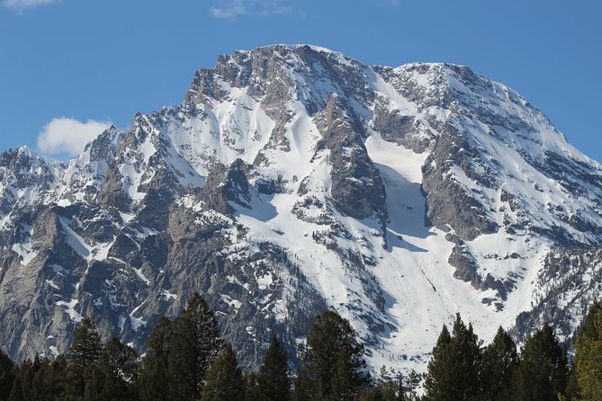 Grand Teton Half Day Tour - Reviews and Feedback