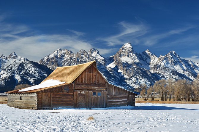 Grand Teton Wildlife Safari in a Enclosed or Open-Air Vehicle (Season Dependent) - Knowledgeable and Friendly Guides