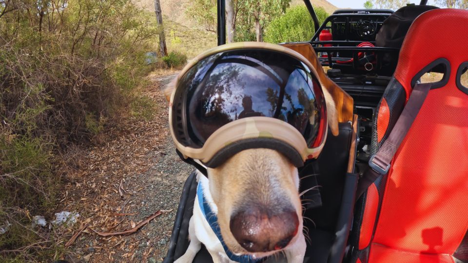 Guided Buggy Tour Mijas - Safety and Requirements