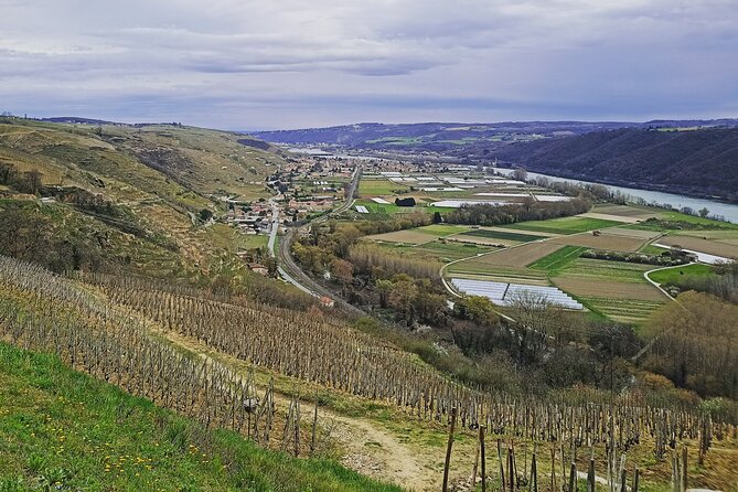 Guided Day Tour and Wine Tasting Northern Rhône Valley - Traveler Reviews and Feedback