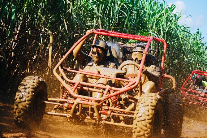 Half-Day ATV or Buggy 4X4 From Bayahibe - La Romana - Tour Experience and Highlights