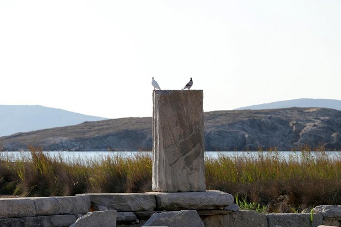 Half-Day Delos Tour From Mykonos - Meeting and Pickup