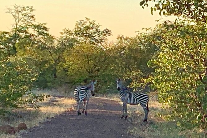 Half-Day Nature Walk in Mosi-Oa-Tunya National Park From Livingstone - Park Information