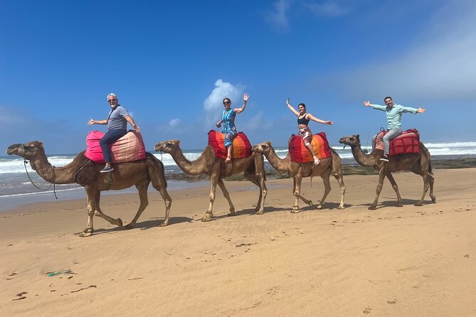 Half Day Private Custom Tour in Tangier Including Camel Ride - Highlights of Tangier