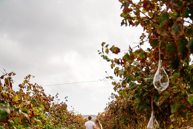 Heraklion Private Half-Day Gastronomy Diaries Experience in Lyrarakis Winery - Main Courses