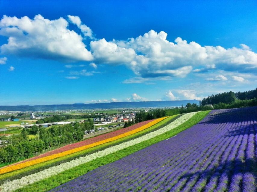 Hokkaido: Biei Blue Pond and Furano Flower Farm Day Trip - Buffet Lunch Experience