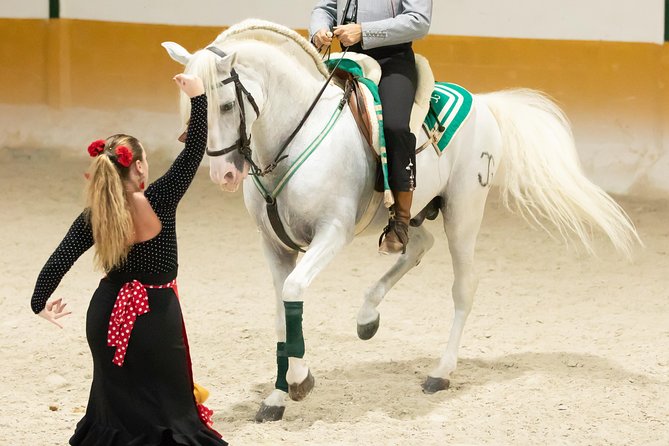 Horse and Flamenco Show in Malaga With Dinner - Cancellation Policy