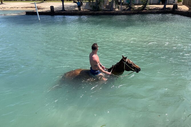 Horseback Ride and Swim Tour In Montego Bay - Tour Inclusions