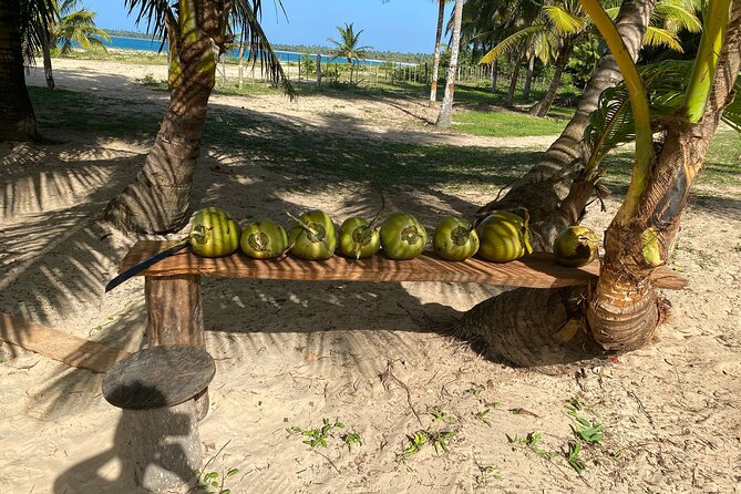 Horseback Riding - Experience Between Virgin Beach and Lagoon - Reviews