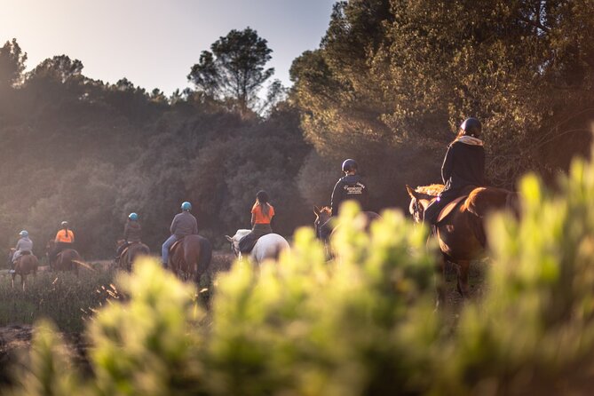 Horseback Riding in Cala Mitjana, Menorca, Spain - Booking Information