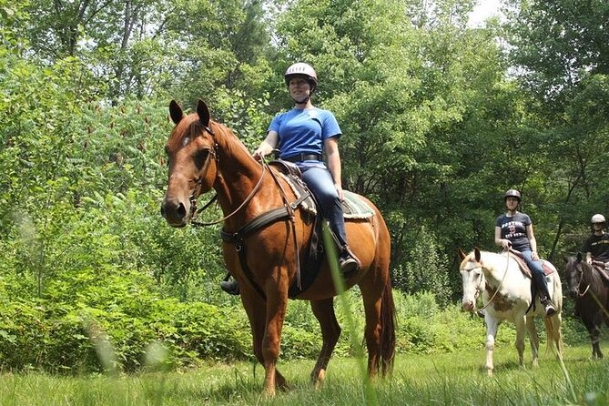 Horseback Riding on the Beach Free Transportation - Recommended Items